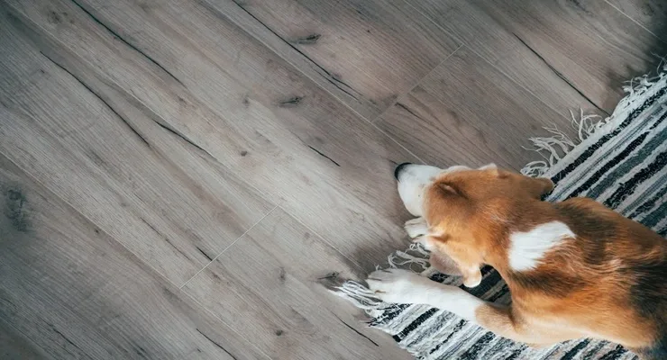 A Step-by-Step Guide to Selecting the Perfect Vinyl Flooring for Your Home 1 Vinyl Flooring for Your Home
